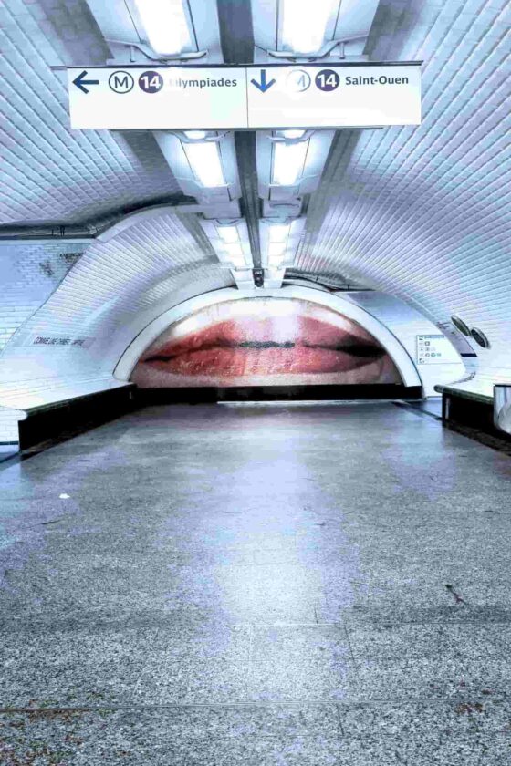 mosaico nei corridoi della metropolitana a Parigi