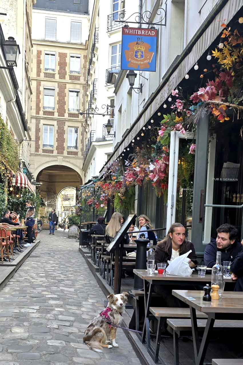 Parigi, una passeggiata Cour du commerce Saint-André