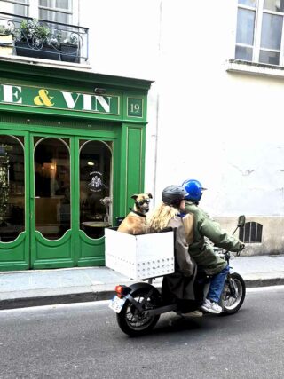 Paris, chien sur un scooter dans le Marais