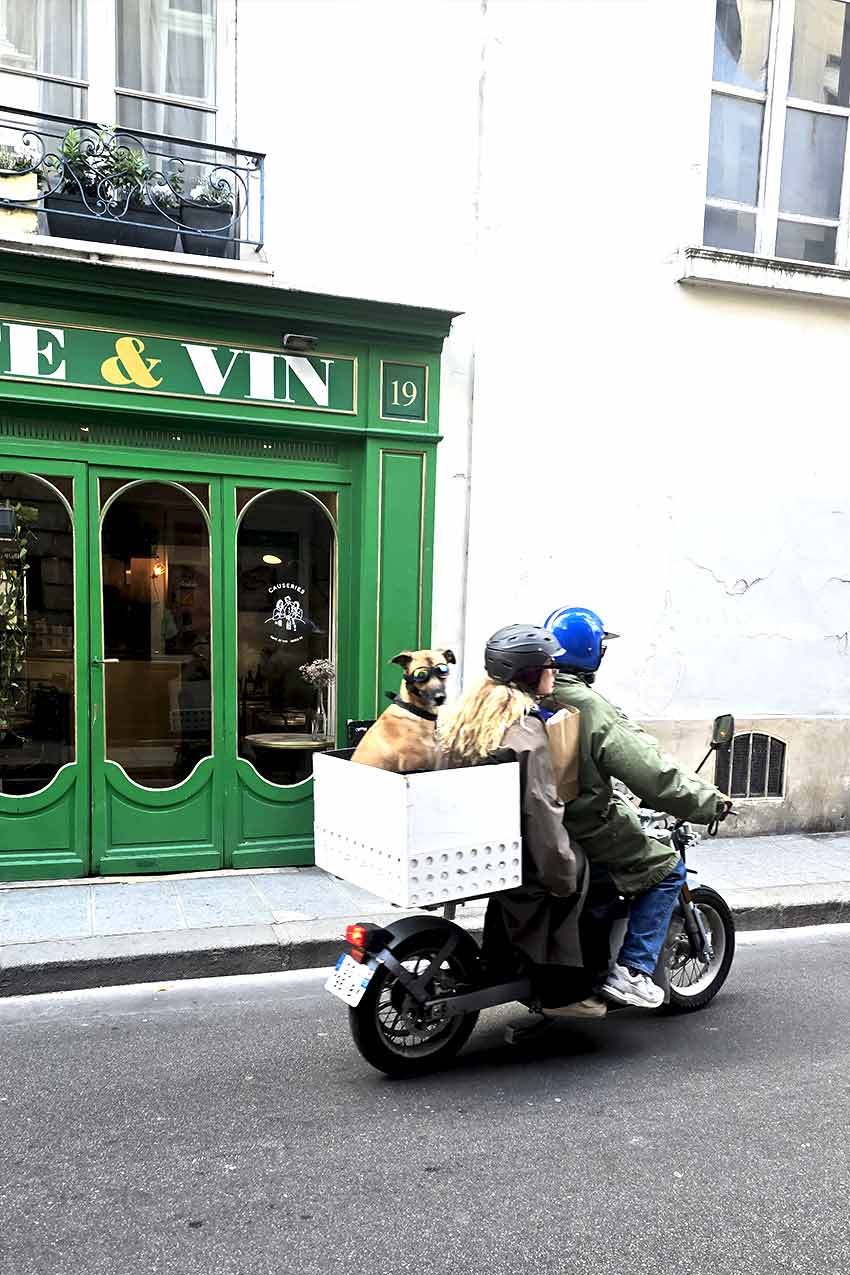 Parigi, cane su uno scooter nel quartiere Marais