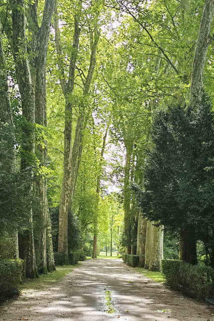 France, Fontainebleau